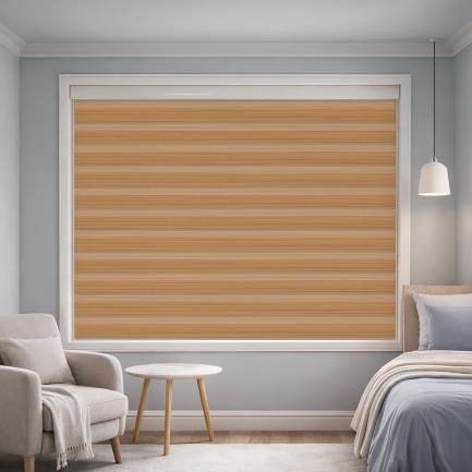 Dimout Zebra Blinds