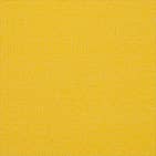 Canvas Sunflower Yellow