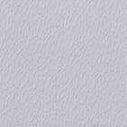 Dream White