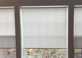 Roller Shades AU 1